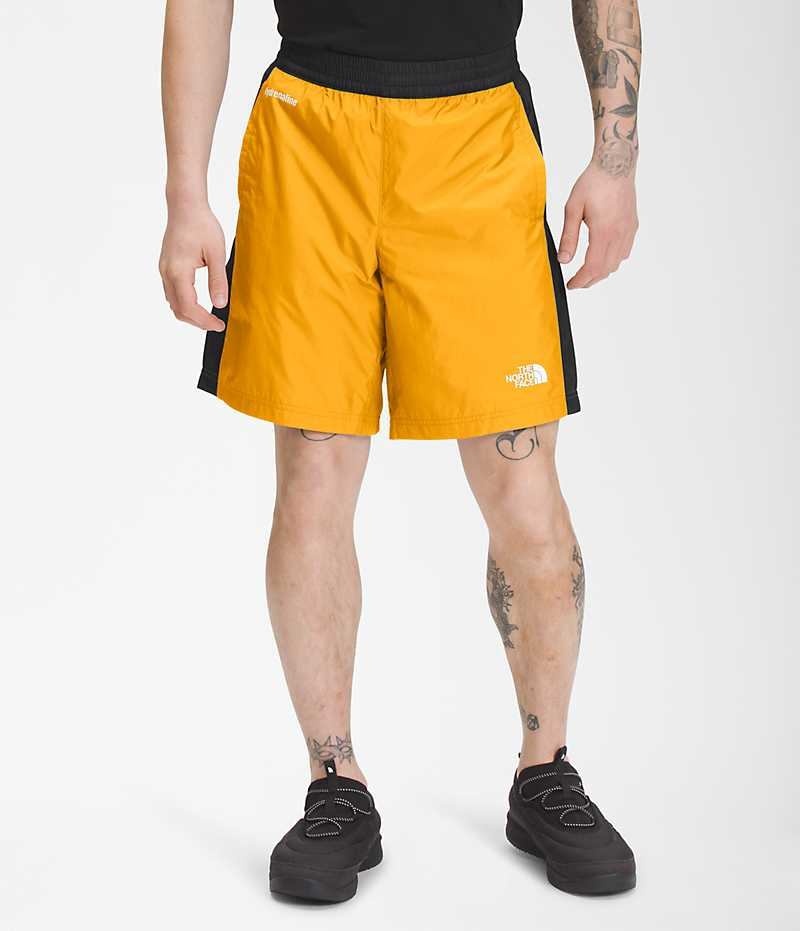 The North Face Hydrenaline 2000 Shorts Herr Guld Svarta | SE WXPYKZ