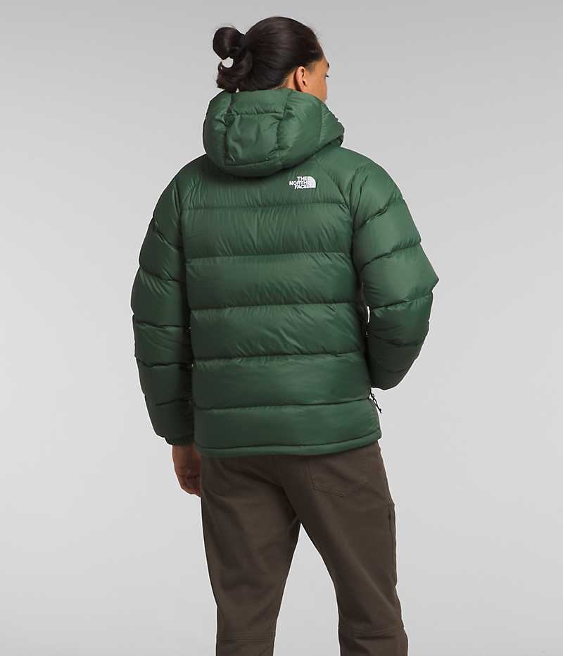 The North Face Hydrenalite™ Hoodie Dunjacka Herr Gröna | SVERIGE XOTDJR