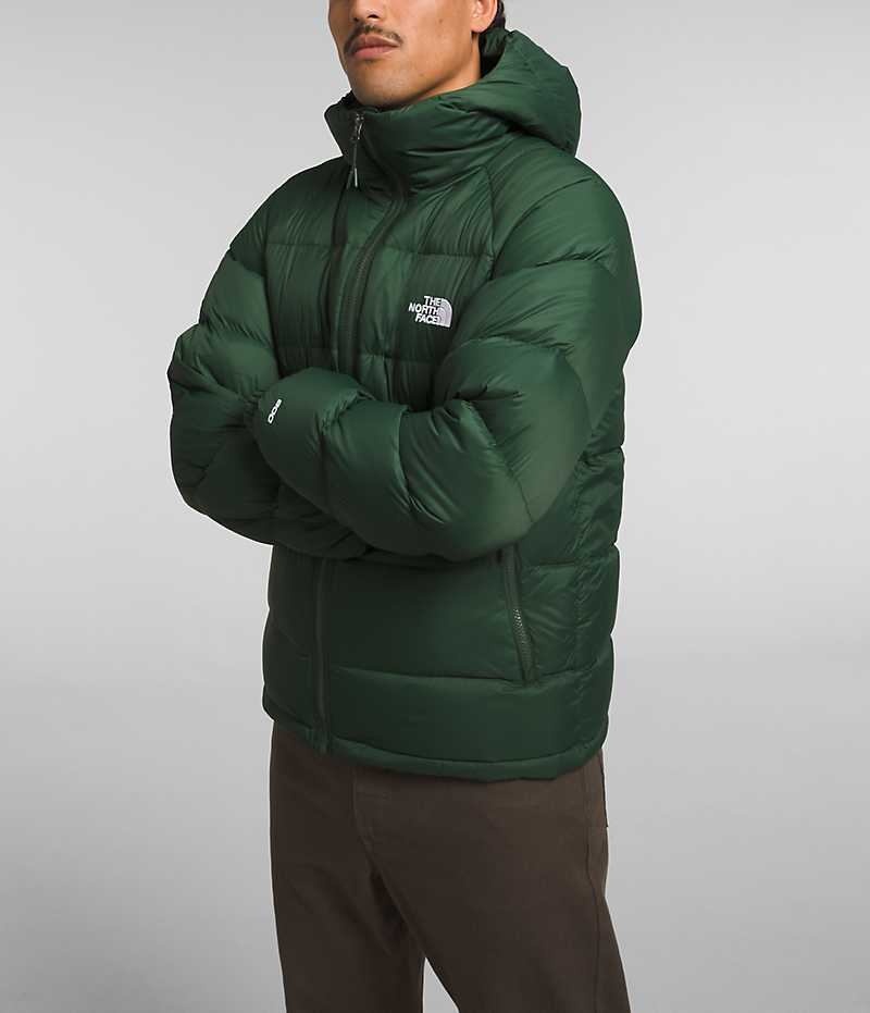 The North Face Hydrenalite™ Hoodie Dunjacka Herr Gröna | SVERIGE XOTDJR