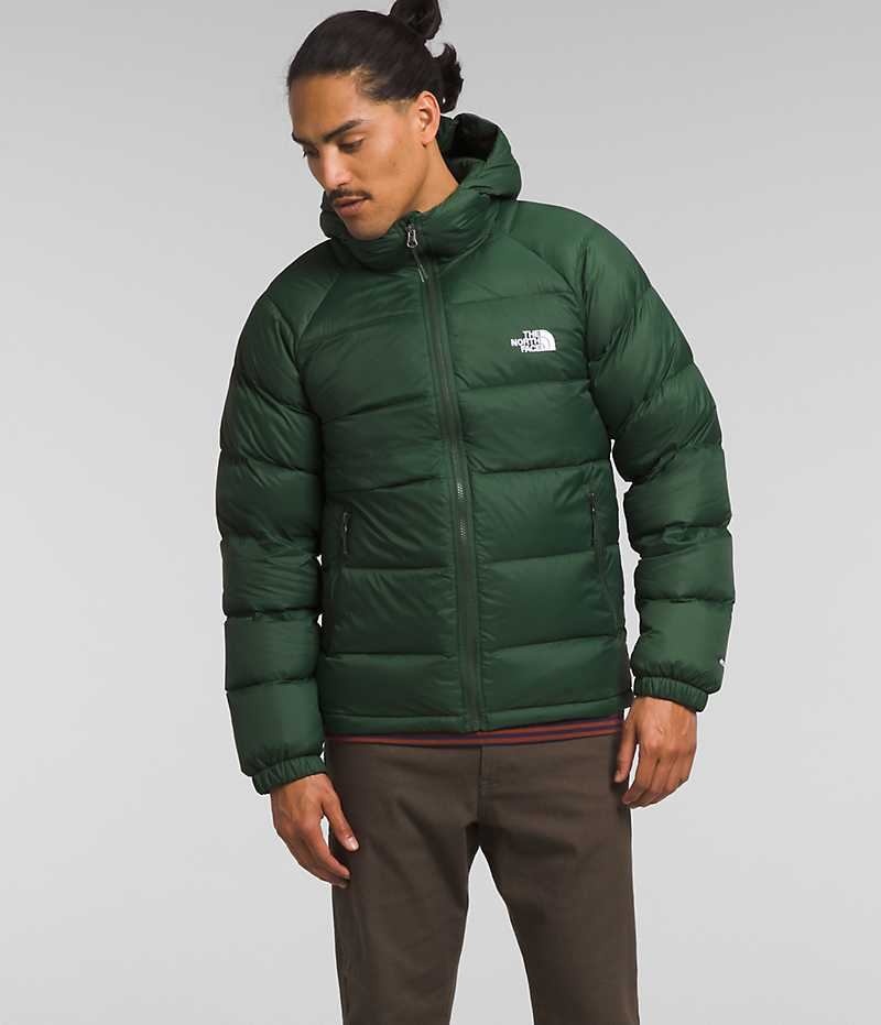 The North Face Hydrenalite™ Hoodie Dunjacka Herr Gröna | SVERIGE XOTDJR