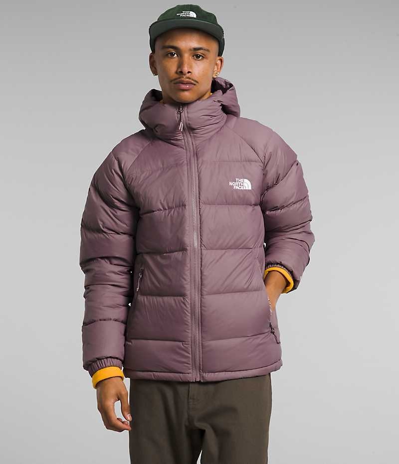 The North Face Hydrenalite™ Hoodie Dunjacka Herr Fuchsia | STOCKHOLM CKPEGT