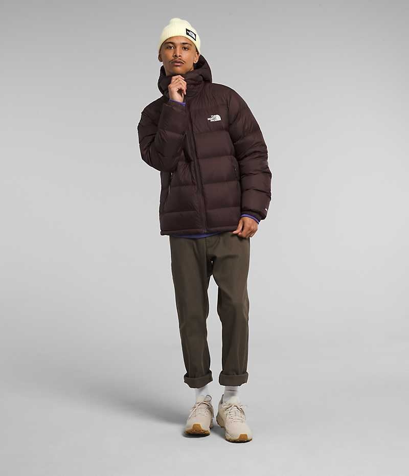 The North Face Hydrenalite™ Hoodie Dunjacka Herr Vinröda | SE UFZYBS