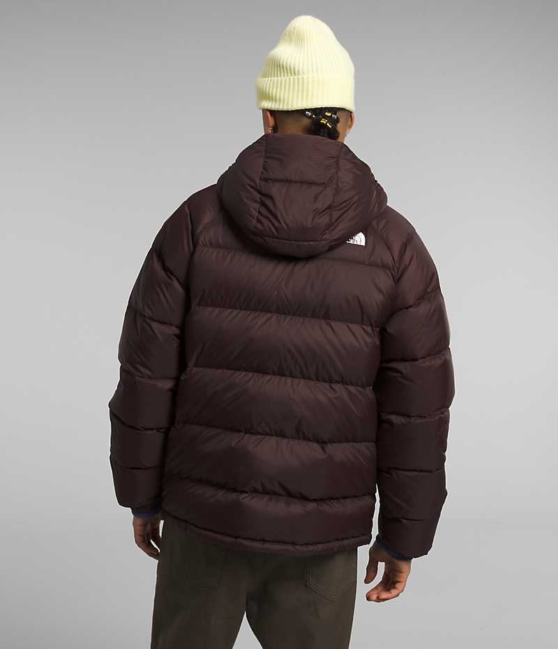 The North Face Hydrenalite™ Hoodie Dunjacka Herr Vinröda | SE UFZYBS