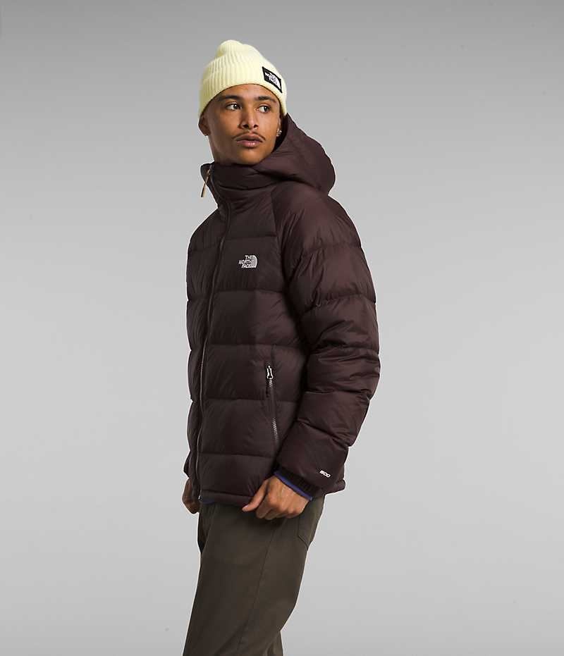 The North Face Hydrenalite™ Hoodie Dunjacka Herr Vinröda | SE UFZYBS