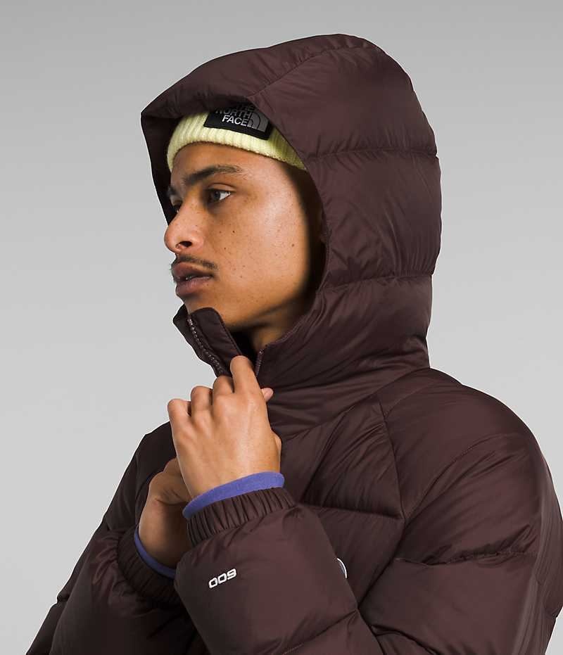 The North Face Hydrenalite™ Hoodie Dunjacka Herr Vinröda | SE UFZYBS