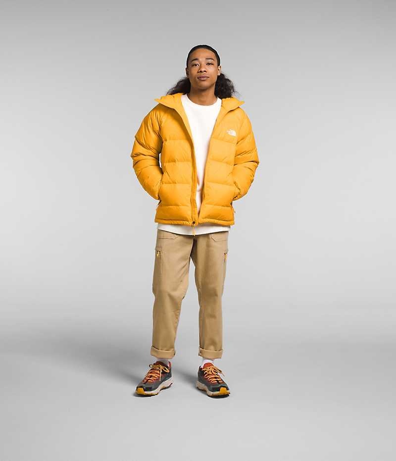 The North Face Hydrenalite™ Hoodie Dunjacka Herr Guld | SE YVTDFU