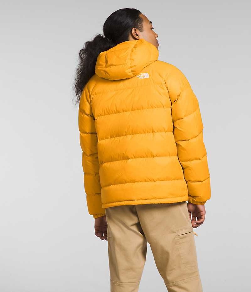 The North Face Hydrenalite™ Hoodie Dunjacka Herr Guld | SE YVTDFU