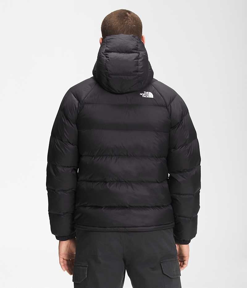 The North Face Hydrenalite™ Hoodie Dunjacka Herr Svarta | STOCKHOLM JQSRYB