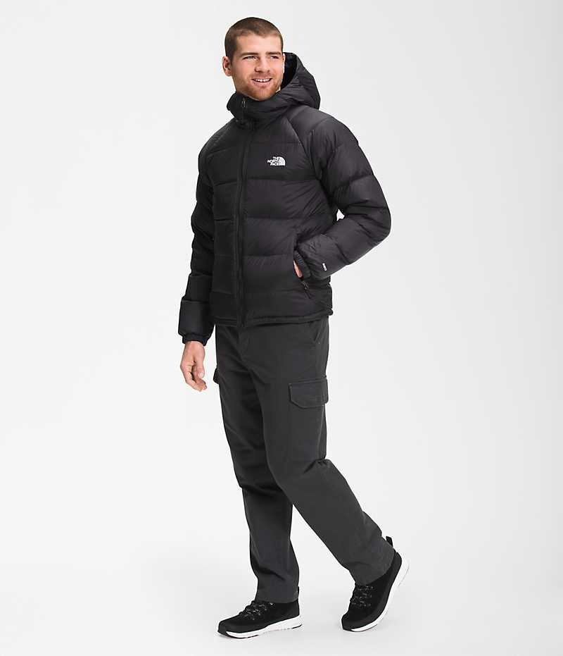 The North Face Hydrenalite™ Hoodie Dunjacka Herr Svarta | STOCKHOLM JQSRYB