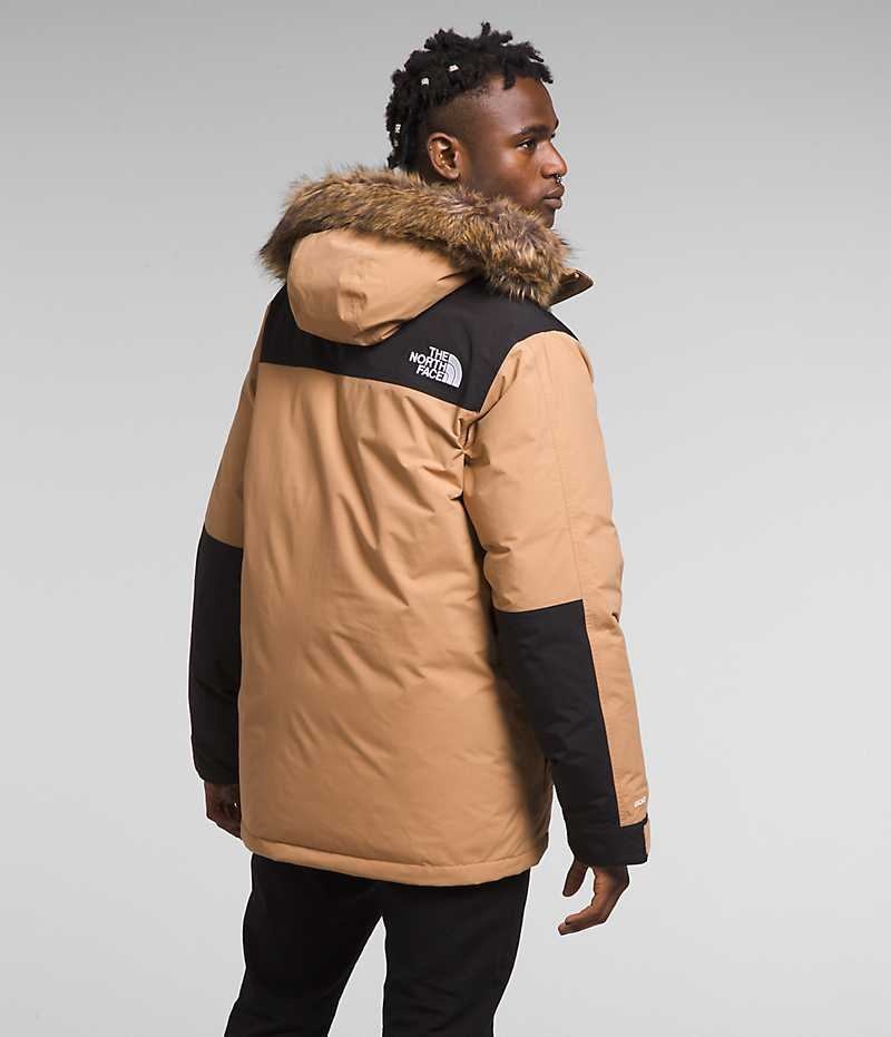 The North Face McMurdo Parka Herr Beige | SVERIGE GUKFRX