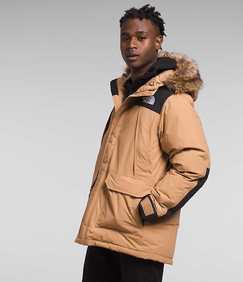 The North Face McMurdo Parka Herr Beige | SVERIGE GUKFRX