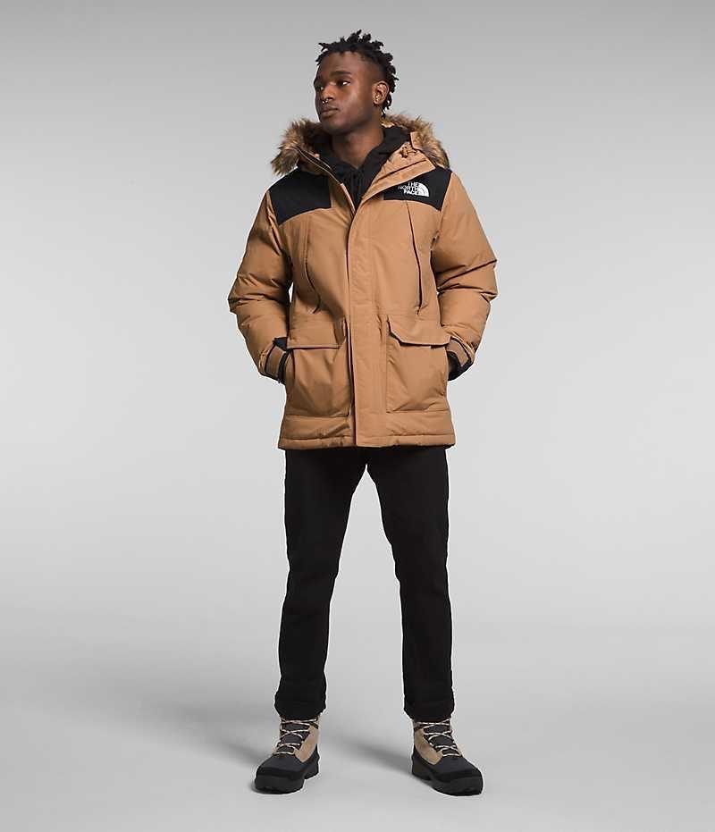 The North Face McMurdo Parka Herr Beige | SVERIGE GUKFRX