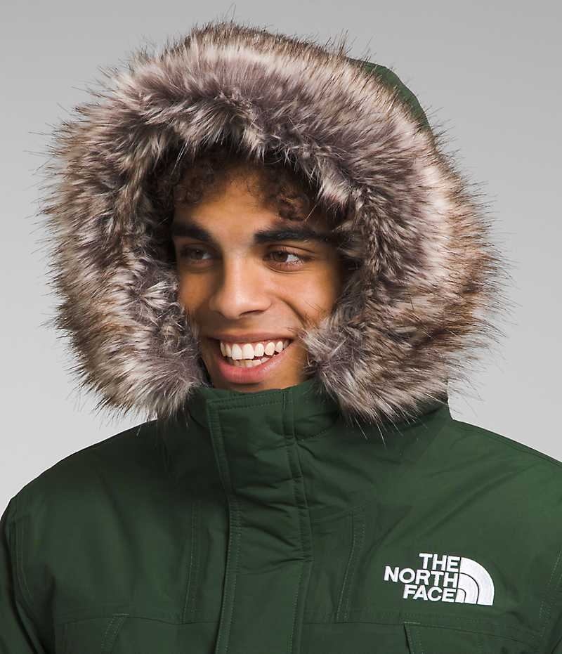 The North Face McMurdo Parka Herr Gröna | SE SVDZQY