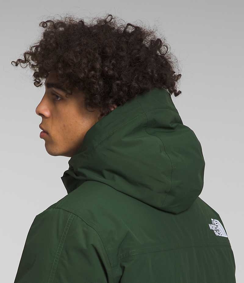 The North Face McMurdo Parka Herr Gröna | SE SVDZQY