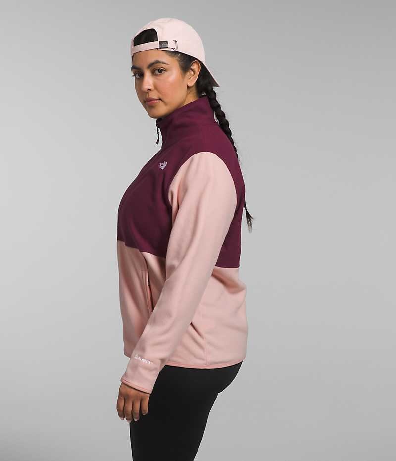 The North Face Plus Alpine Polartec® 100 Fleecejackor Dam Rosa | SVERIGE VYSQHC