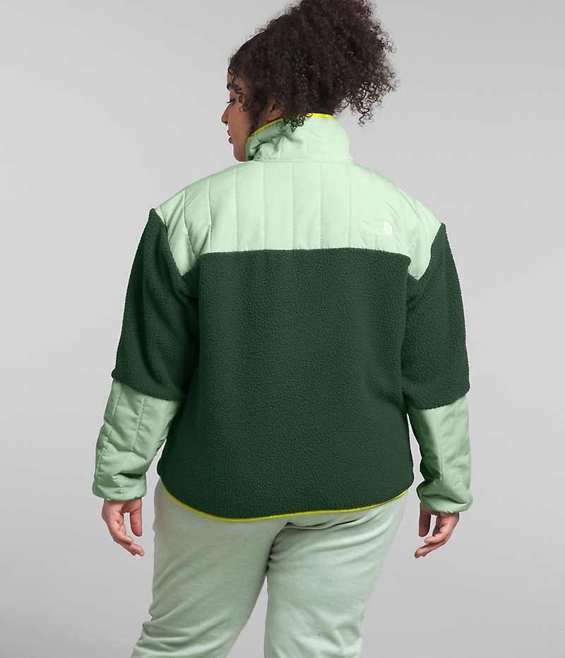 The North Face Plus Cragmont Fleece ¼-Snap Pullover Dam Gröna | SE RIFGVK