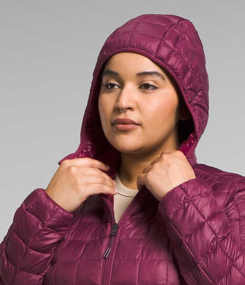 The North Face Plus ThermoBall™ Eco Parka Dam Röda | SE BNYVGE