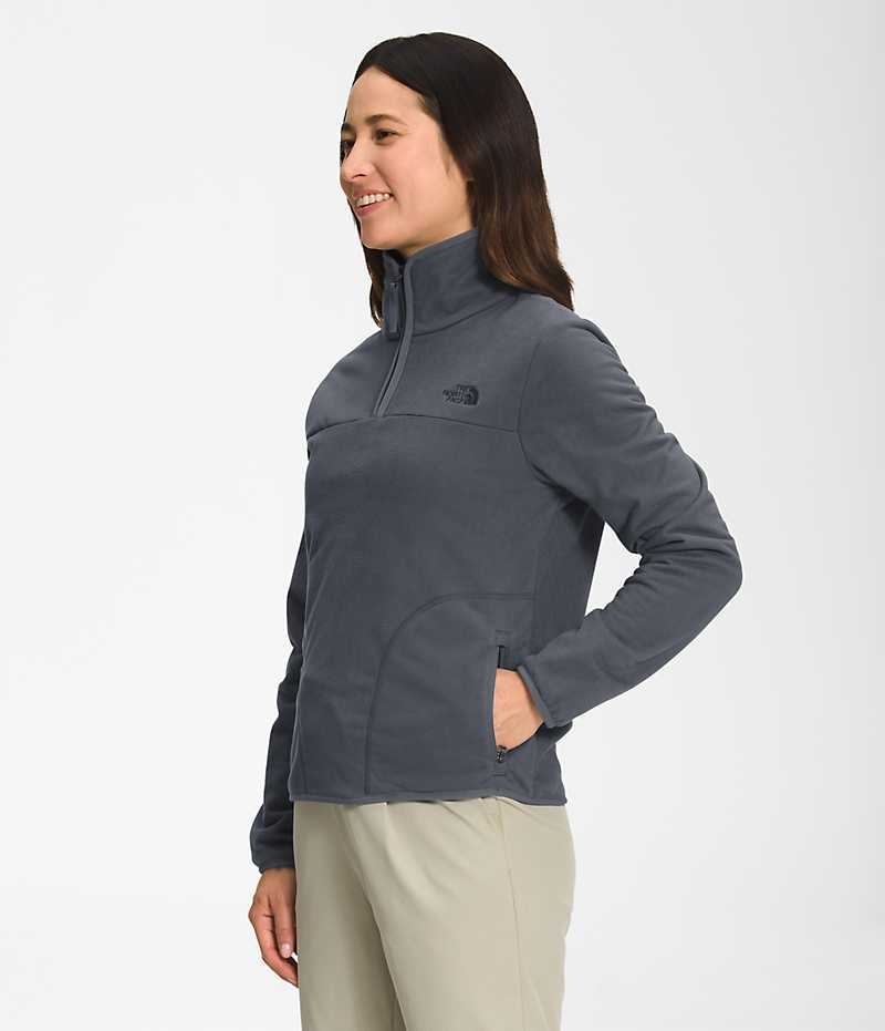 The North Face Polar Osito ¼-Zip Sweatshirt Dam Grå | SVERIGE VXPJIG