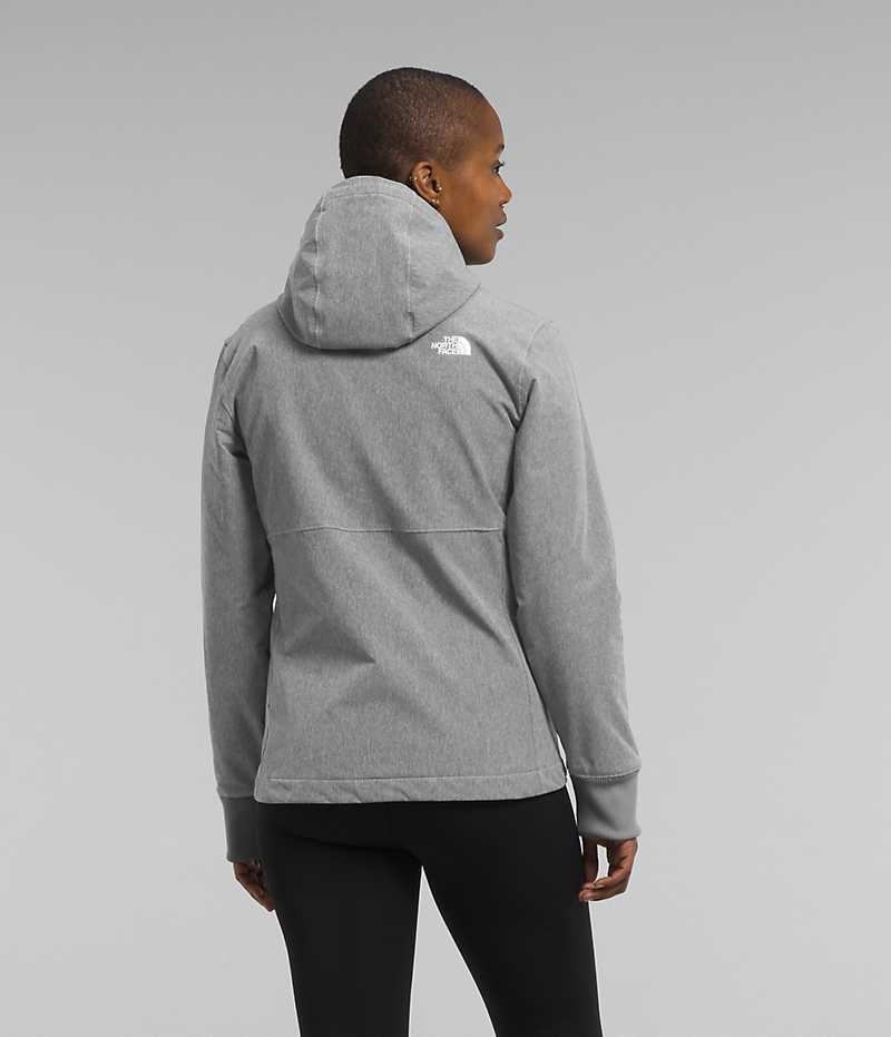 The North Face Shelbe Raschel Hoodie Softshelljacka Dam Grå | SVERIGE WNHOEA