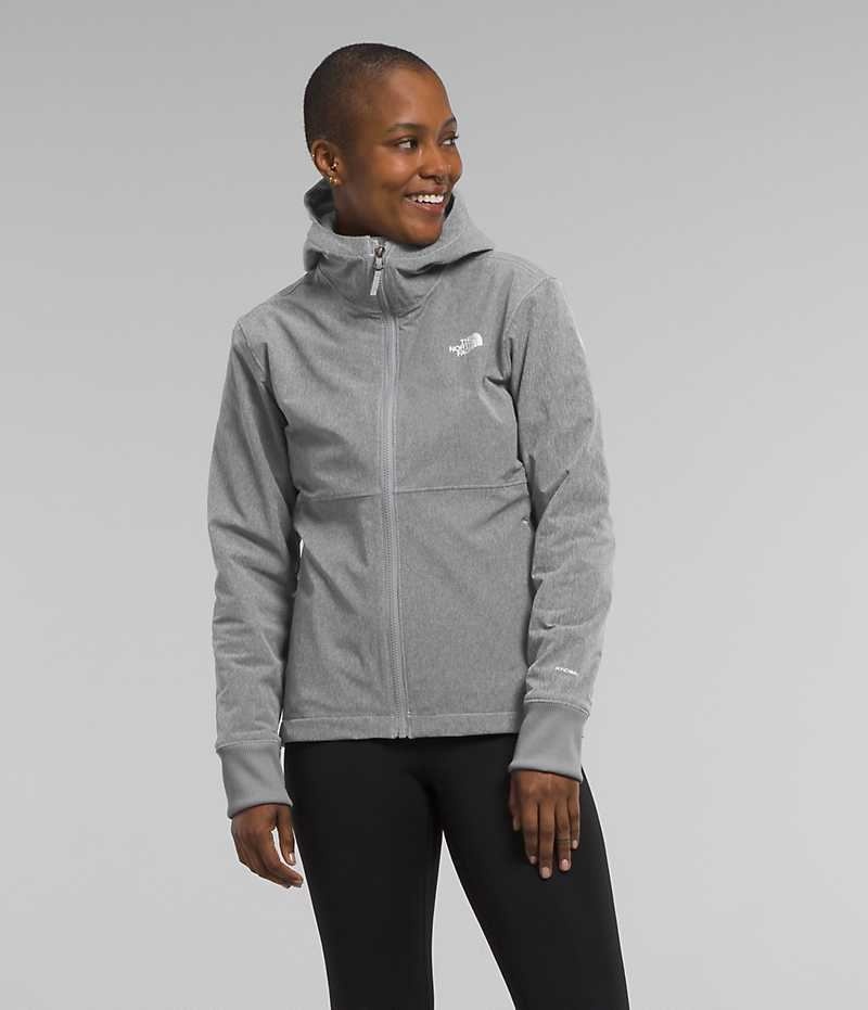 The North Face Shelbe Raschel Hoodie Softshelljacka Dam Grå | SVERIGE WNHOEA