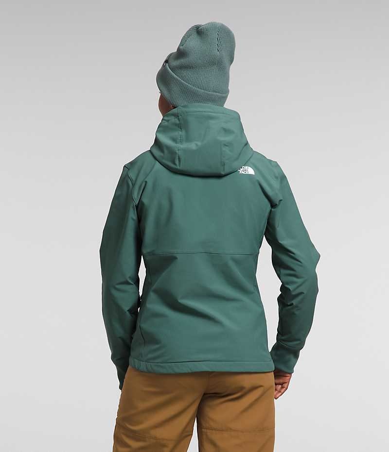 The North Face Shelbe Raschel Hoodie Softshelljacka Dam Gröna | SE GVPMRZ