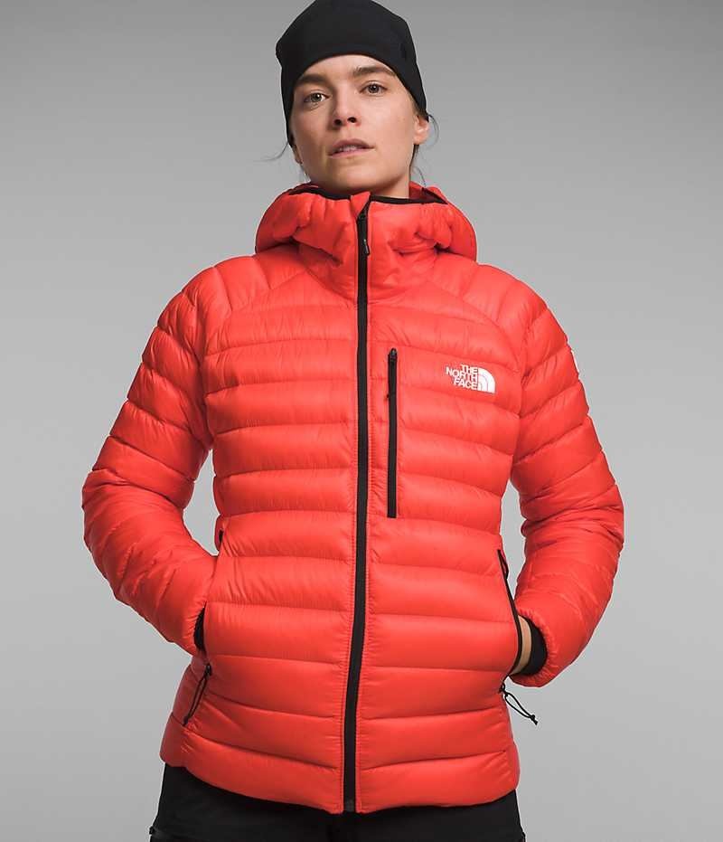 The North Face Summit Series Breithorn Hoodie Dunjacka Dam Orange | SE XSKGAI