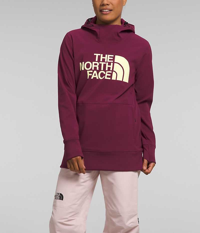 The North Face Tekno Pullover Hoodie Dam Fuchsia | SE IDQPVO